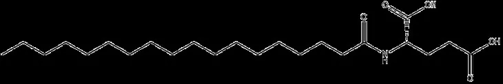 Ν-(1-οξοκταδεκυλ)-L-γλουταμικό οξύ